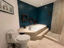 Magnifique appartement 4½ semi-meublé au cœur de Montréal $2100 - Photo 27