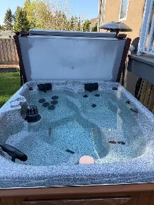 Arctic Spas Arctic Fox Hot Tub