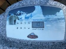 Arctic Spas Arctic Fox Hot Tub - Photo 4