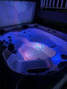 Arctic Spas Arctic Fox Hot Tub - Photo 6