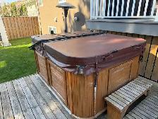 Arctic Spas Arctic Fox Hot Tub - Photo 8