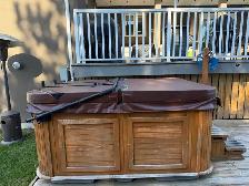 Arctic Spas Arctic Fox Hot Tub - Photo 9