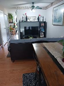 Renovated 3 bedroom duplex for rent in Pineridge, NE Calgary - Photo 5