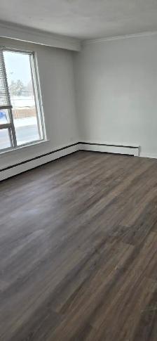 2 Bedroom 1 Bathroom apartment for rent - Photo 4