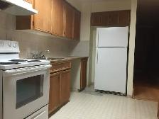 Basement for rent available