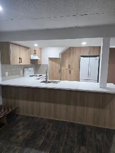 Basement for rent