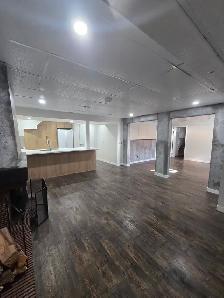 Basement for rent - Photo 4