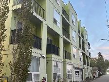 Perfect Student & Professional Apartment – Just a 5-Min Walk - Photo 13