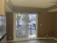 Perfect Student & Professional Apartment – Just a 5-Min Walk - Photo 23