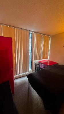 Female Roommate Wanted-Downtown Vancouver - Photo 3