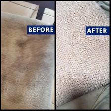 Complete House Carpet & Couch,Upholstery_Cleaning - Photo 5