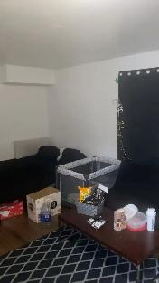Fenwick St Bachelor - Photo 2