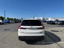 2024 Honda CR-V Sport 1.5L Tubro AWD Toit ouvrant Carplay - Photo 6