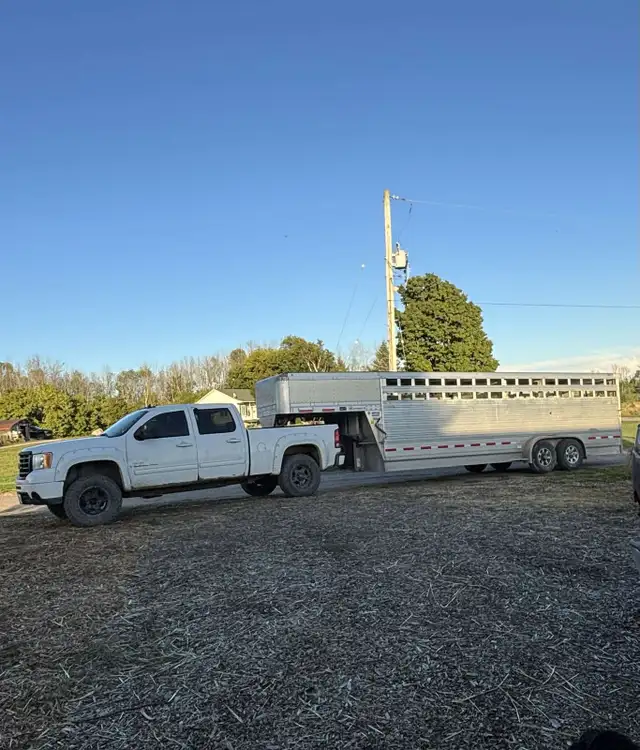 livestock hauling.