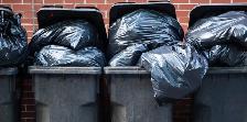 Garbage Pickup - GarbageBuddy.ca - Photo 2