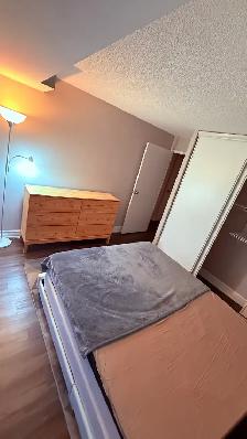 One Bedroom Fully Furnished  For Rent Mississauga - Photo 3