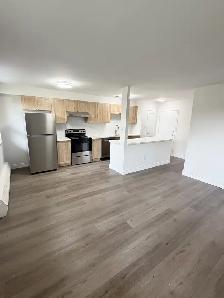 Renovated 1st floor 1 bed 1 bath apartment for rent, Stouffville - Photo 6