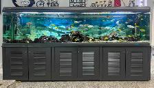 SALE SALE SALE 3 BEAUTIFUL FISH TANK -$500 - Photo 2