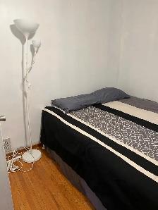 Rooms For Rent Close To Centennial College and UTSC - Photo 5