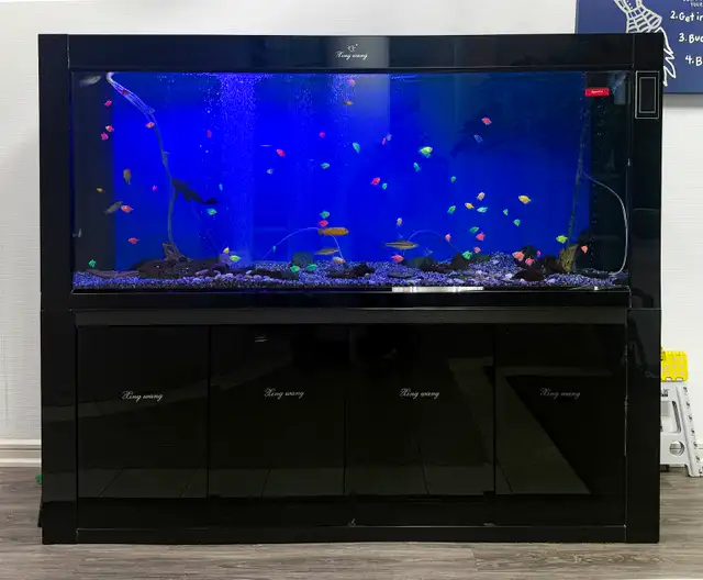 SALE SALE SALE 3 BEAUTIFUL FISH TANK -$500