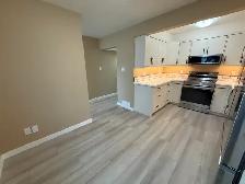 Newly Renovated 3 Bedroom Townhouse in Kimberley - Photo 7