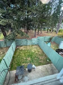 Newly Renovated 3 Bedroom Townhouse in Kimberley - Photo 16