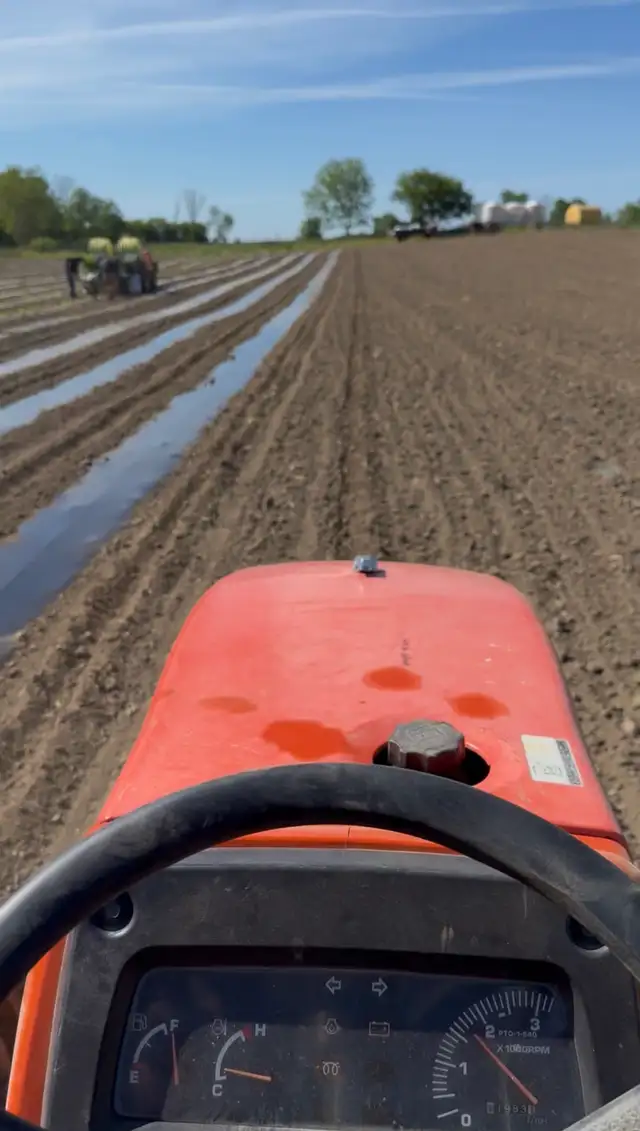 Farm Labourer