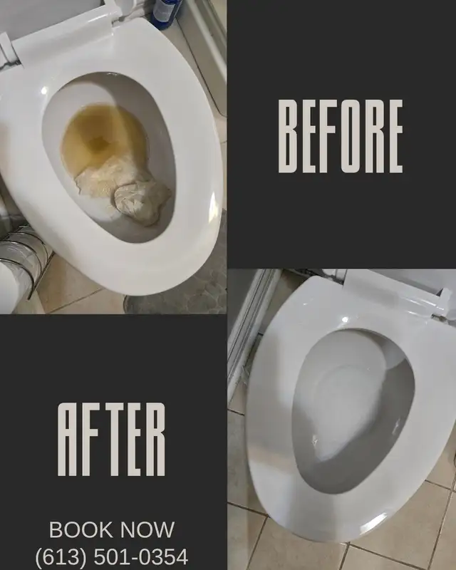 YOUR LOCAL AND RELIABLE HOUSE CLEANING LADY (613) 501-0354