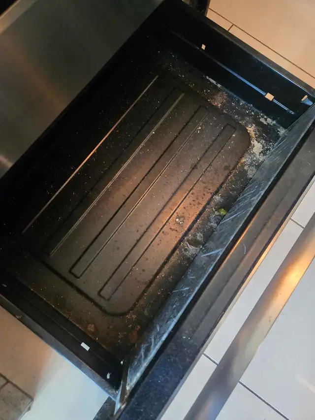 (613) 501-0354 DEEP CLEANING LADY