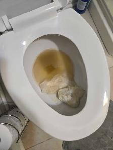 (613) 501-0354 DEEP CLEANING LADY - Photo 9