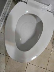 (613) 501-0354 DEEP CLEANING LADY - Photo 10