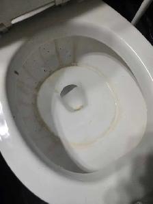 JUDGEMENT FREE CLEANING SERVICES (613) 501-0354 - Photo 3