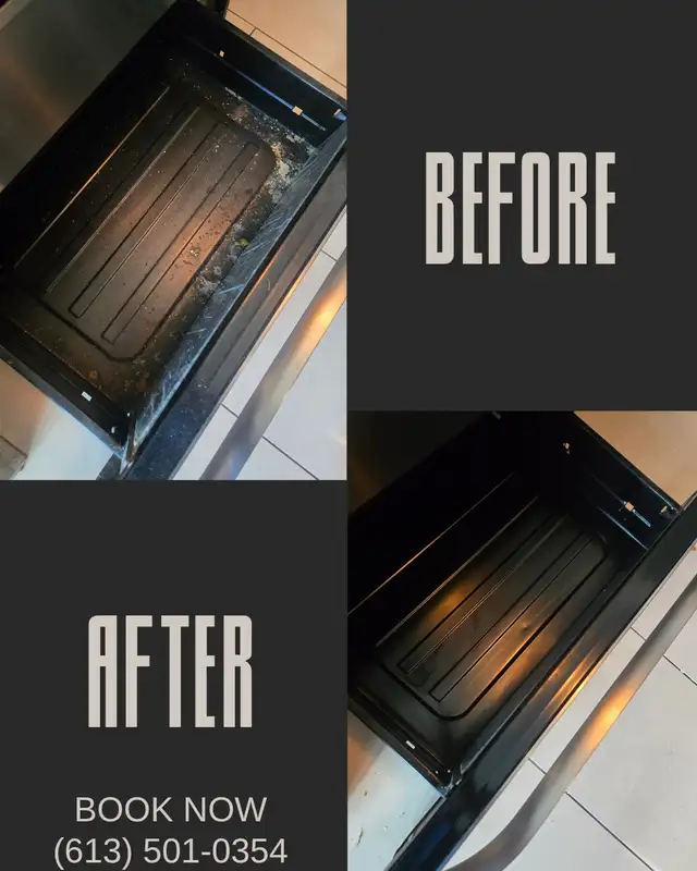 DETAIL ORIENTED CLEANING SERVICES (613) 501-0354