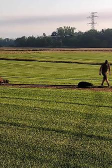 SOD SOD SOD - Photo 2