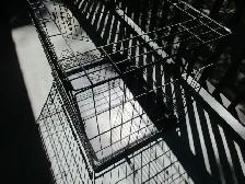 pet animal cage  metal folding   2 doors - Photo 2