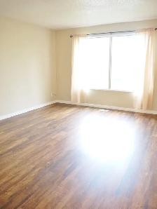 Beautiful 1200sf 3BR RENO'd main flr-5 min walk 2 LRT! - Photo 3