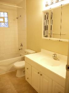 Beautiful 1200sf 3BR RENO'd main flr-5 min walk 2 LRT! - Photo 8