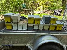 Beekeeping Equipment FOR SALE – Hives, Boxes, Trailer, RTV - Photo 2