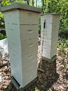 Beekeeping Equipment FOR SALE – Hives, Boxes, Trailer, RTV - Photo 8