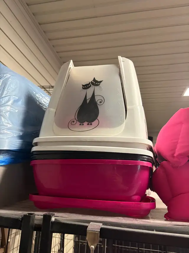 litière à chat