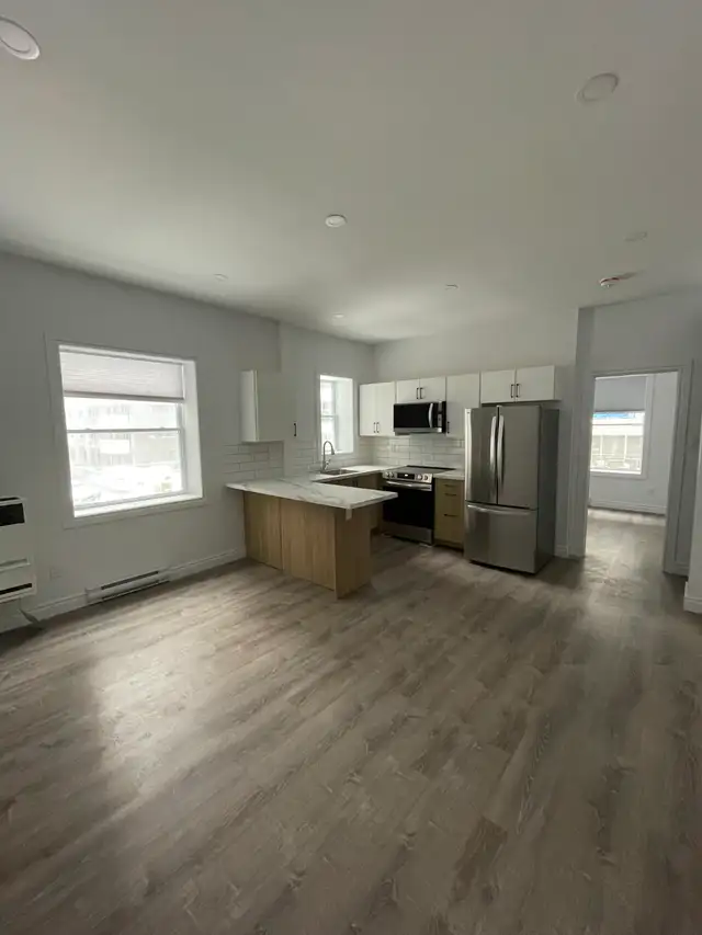Renovated 1-Bedroom Unit on Gloucester St- Available August 1st!