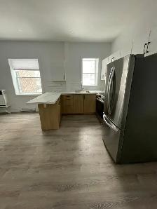 Renovated 1-Bedroom Unit on Gloucester St- Available August 1st! - Photo 2
