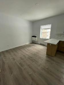 Renovated 1-Bedroom Unit on Gloucester St- Available August 1st! - Photo 3