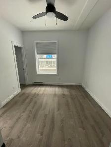 Renovated 1-Bedroom Unit on Gloucester St- Available August 1st! - Photo 5