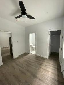 Renovated 1-Bedroom Unit on Gloucester St- Available August 1st! - Photo 6