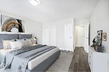 Studio Apartment for Rent - 1255 Pendrell Street - Photo 9