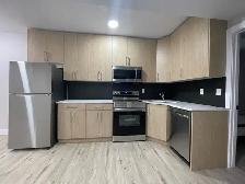 Shared Basement Accommodation for rent - Photo 6