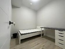 Shared Basement Accommodation for rent - Photo 5