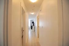Nice private furnished BR in spacious 2 BR suite, Joyce Station - Photo 5