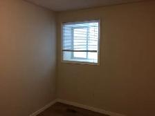 Fresh Clean One Bedroom Available - Photo 4